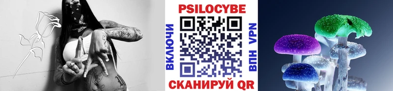 Купить где  Магадан  Псилоцибиновые грибы Cubensis 